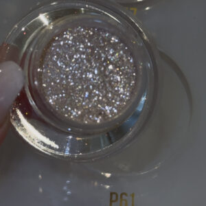 P61