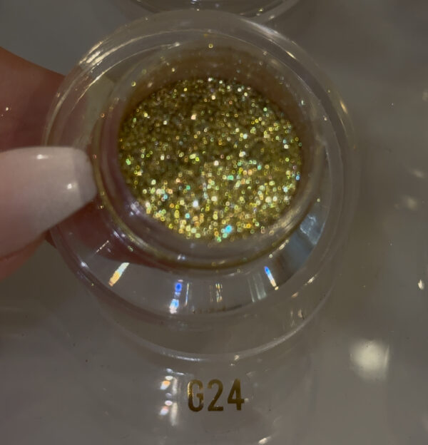 G24